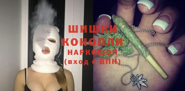 ешки Снежногорск