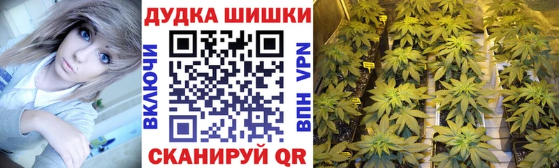 Бошки марихуана AK-47  цены наркотик  Плавск 